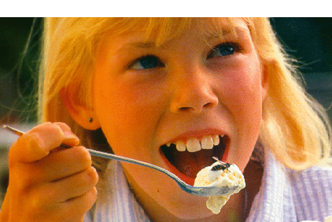 Insektenstich im Mundraum